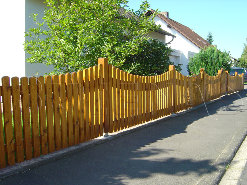 Zaun