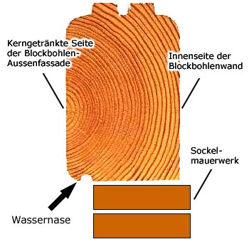 Wassernase von einem Blockhaus